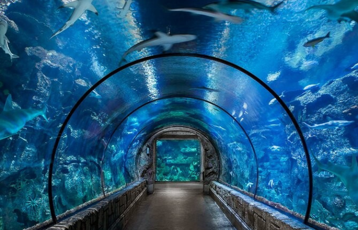 Grand Aquarium