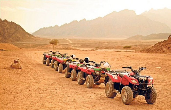 Safari dans le désert