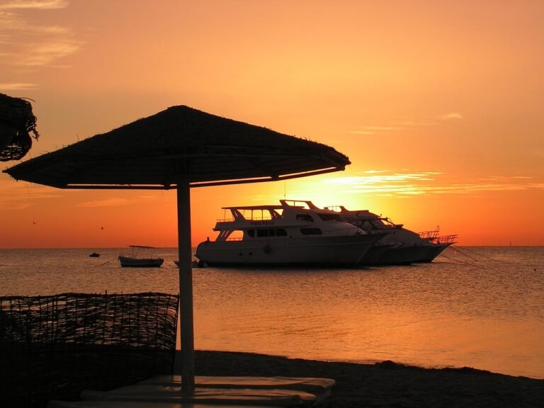 Boat Tours